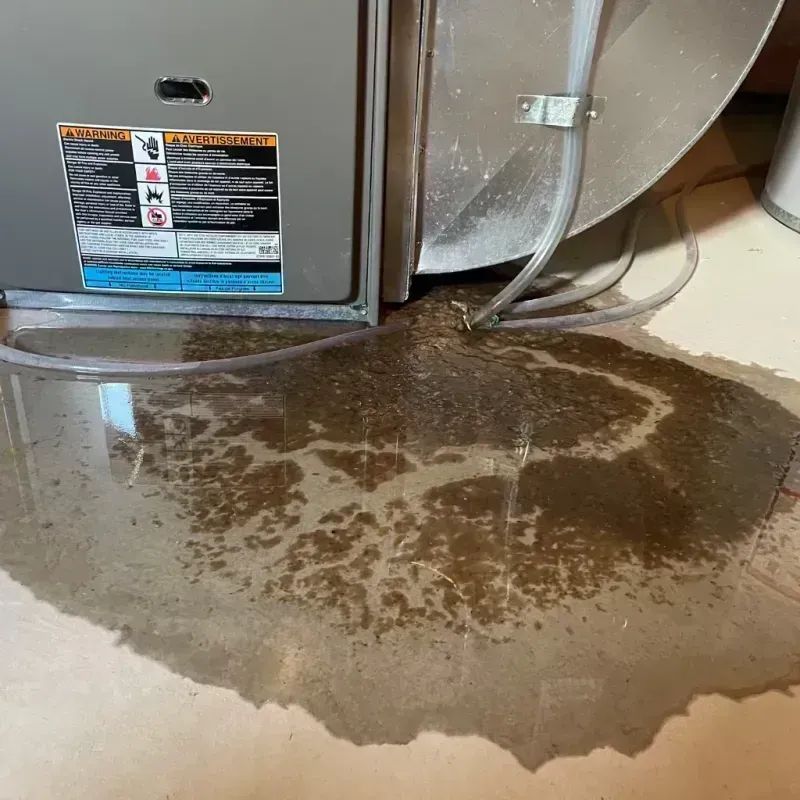 Appliance Leak Cleanup in Byhalia, MS